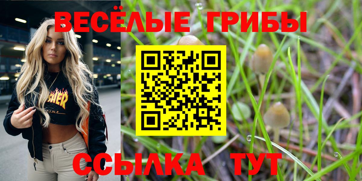 наркотики  Вход с VPN  Артём  Псилоцибиновые грибы MAGIC MUSHROOMS 